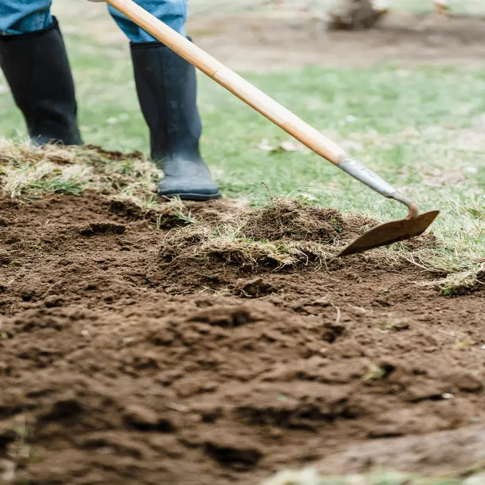 Hoe Important for Gardening